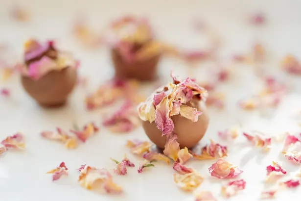 펠리컨 카지노 안드로이드/iOS 앱